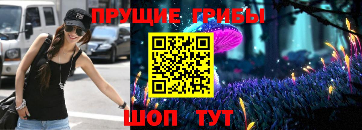купить   Псилоцибиновые грибы Psilocybine cubensis  Вход с VPN  Псилоцибиновые грибы GOLDEN TEACHER  Сызрань 